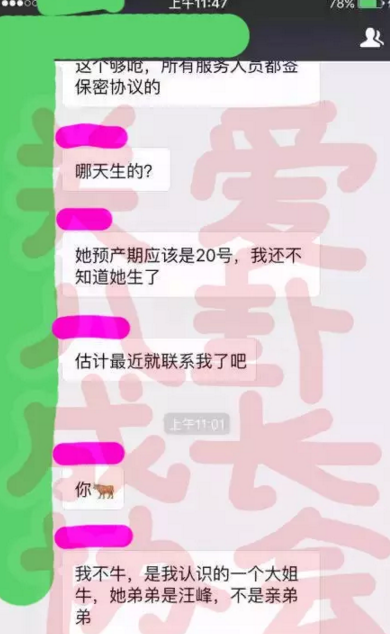 章子怡被曝产子 晒与狗狗合影否认:只有这个 (图)