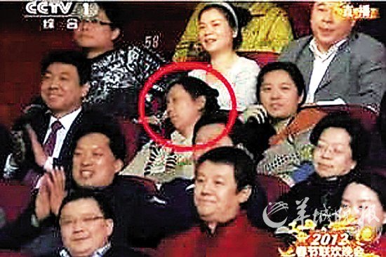 春晚睡觉姐图片