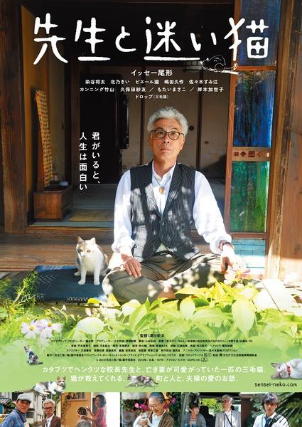 《老师与流浪猫》日本上映 给猫奴们的福利