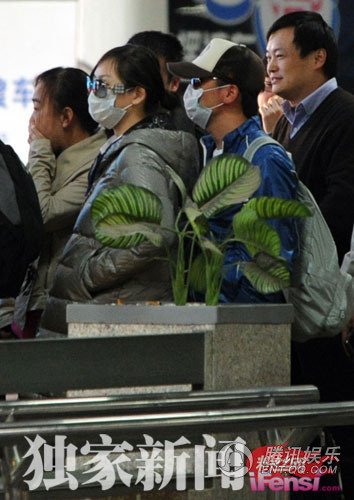 王宝强被爆隐婚经纪人未否认:他是个正常男人