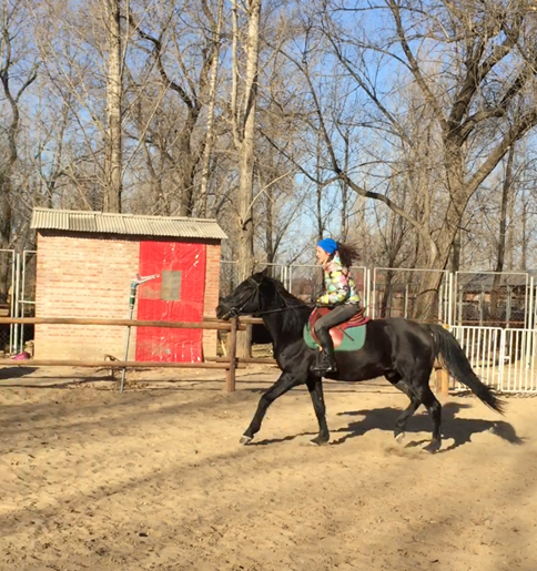曾麟舒博好莱坞导演青睐 张艺谋新戏或再拼马术