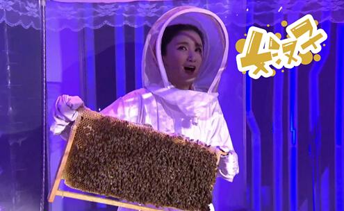 富察小主做客《食尚大转盘》 “蜜”斗黄格选