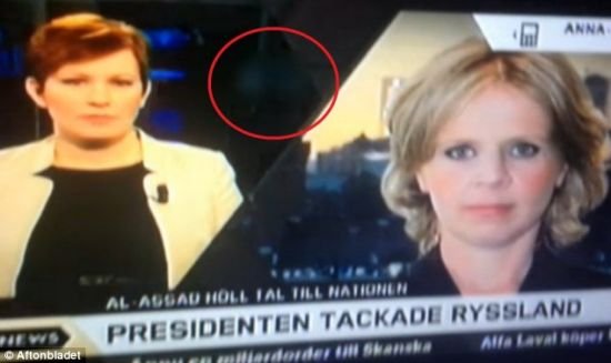 瑞典新闻直播间背景放情色片 负责人称程序错