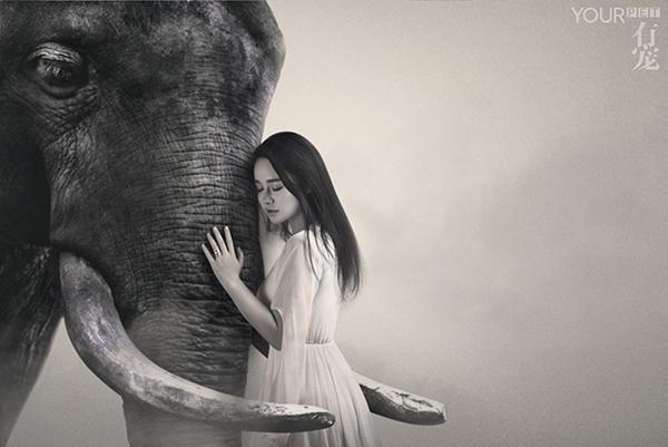 邹市明反盗猎 携手有宠打出“非同反响”第一拳