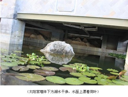 杨丽萍豪宅被指污染洱海 政府：排污符合标准