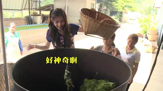 国民媳妇秋瓷炫做农活 婆媳关系渐入佳境