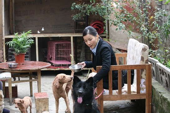 《小城协警》现大牌 “狗”演员让徐立哭笑不得