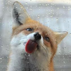 《燃少》喂他们吃了啥?细数鲜肉蜕变那点事儿