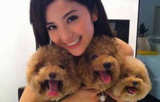 蔡卓妍:月饼、冰皮与椂柚