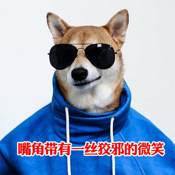 你知道一只狗可以有多时髦吗!(帅哭了)