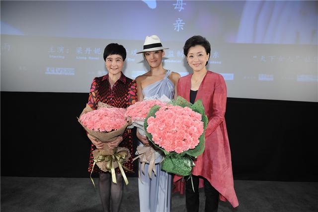 杨澜首次”触电” 公益微电影《我们》献礼母亲节