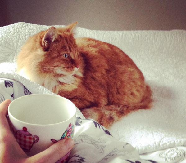 这些个初老or成熟现象，你中几枪？