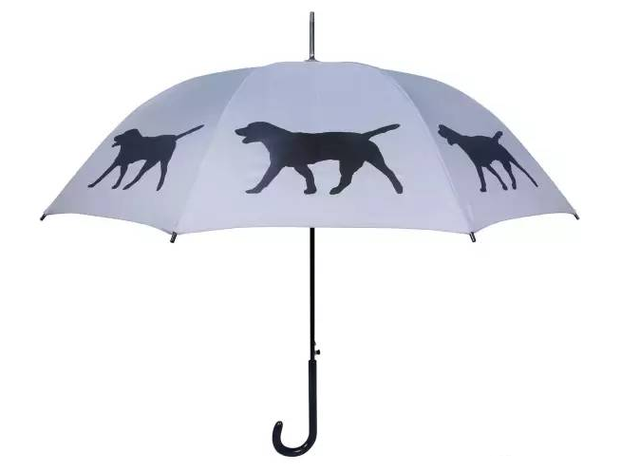 没有一把超美艳的雨伞,下雨天凹造型穿再好看