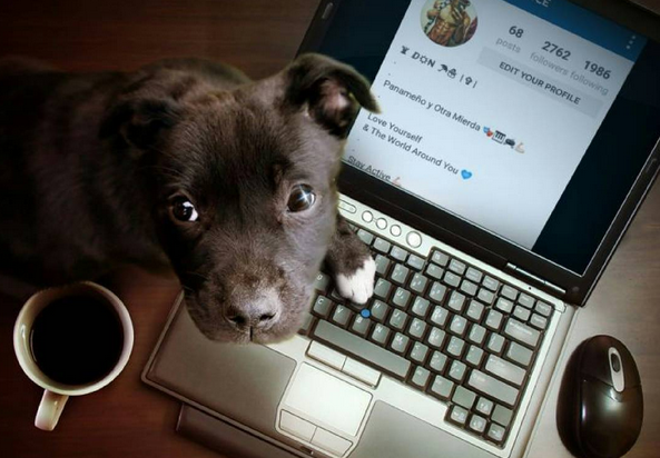 这些个初老or成熟现象，你中几枪？