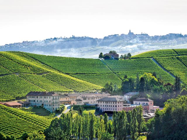 史诗意大利的自然饮食 带你游历酒庄和米其林