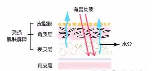 11招教你缓解冬季皮肤干燥起皮！面部、全身都包含了