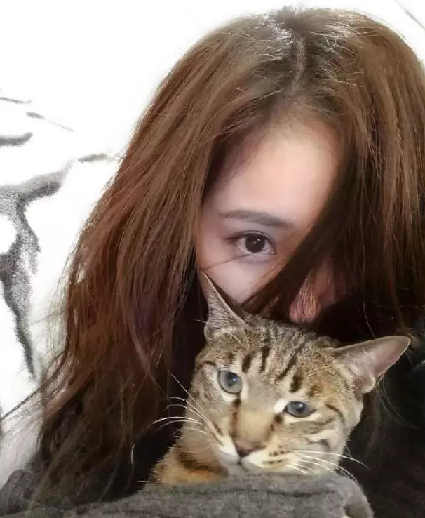 什么是狐狸眼图片大全 145511301.png