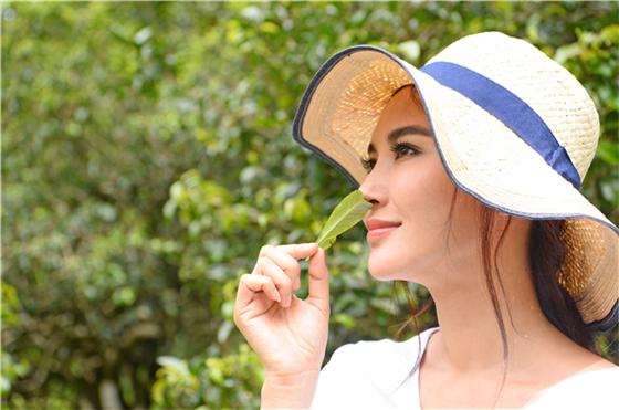 Fresh红茶紧致修护精华露震撼上市