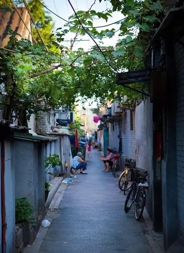 藏在胡同深里