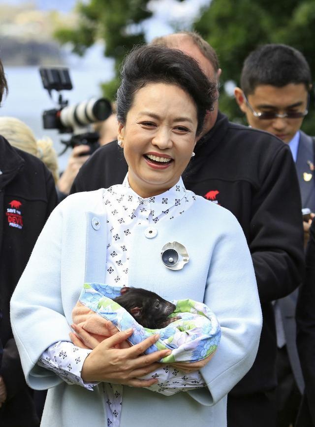 彭丽媛抱袋獾乐开怀 衣品随性不失风度