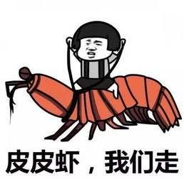 音乐节时髦指南 就是要你美美的去摇摆