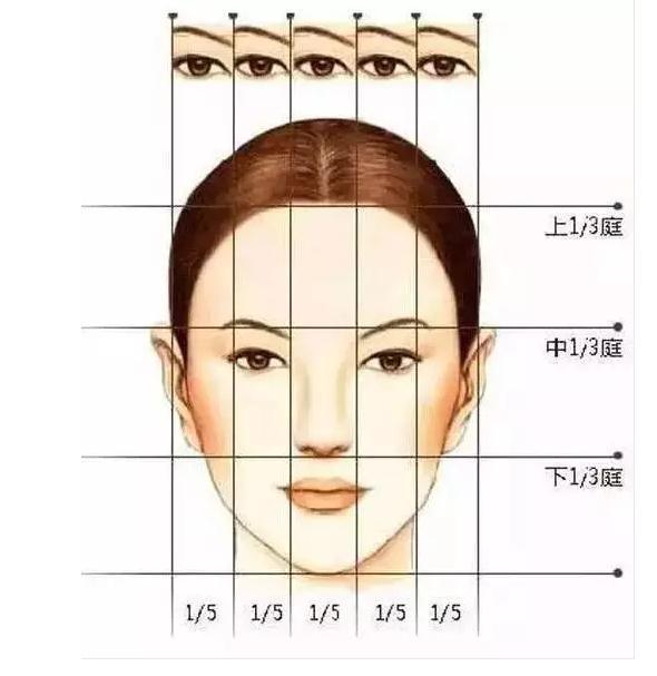 学化“三庭五眼” 不整容也能成为标准美人_时尚_腾讯网