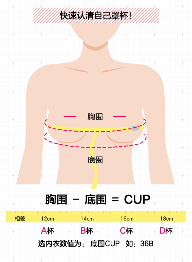 女生对内衣的追求,要建立在更了解自己的情况下 胸围和底围 相差