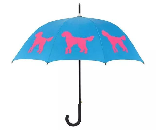 没有一把超美艳的雨伞,下雨天凹造型穿再好看