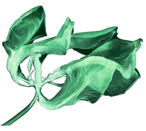 HR赫莲娜经典绿宝瓶