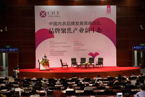 寻找内衣行业话语权品牌--2013中国内衣峰会