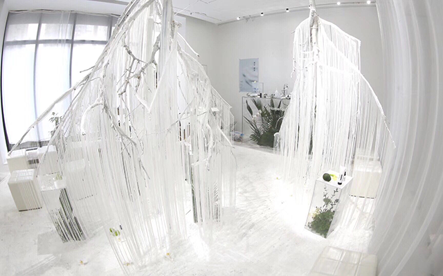 HomeFacialPro打造梦幻黑白空间诠释成分美学