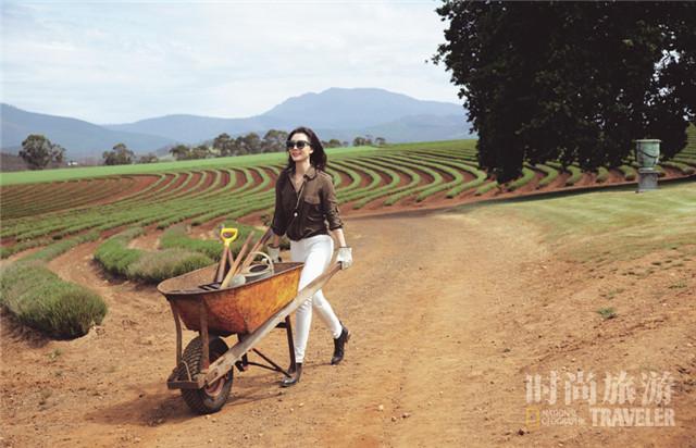 陈数的浪漫澳洲之旅 回归恬静的田园生活