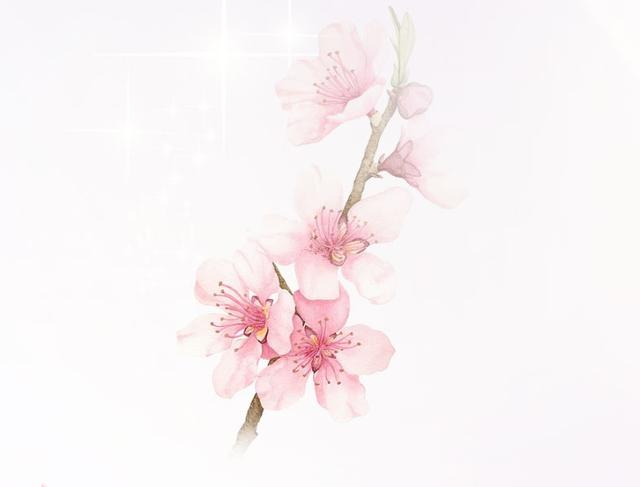 【美漾单品】樱花般透白美肌背后的秘密是什么?_时尚_腾讯网