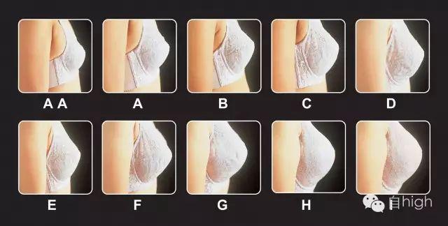 科普|D罩杯究竟有多大？_时尚_腾讯网