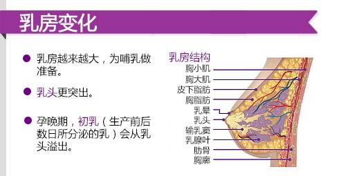 <em>女人怀孕</em>原来受这么多罪!看完为伟大的妈妈们