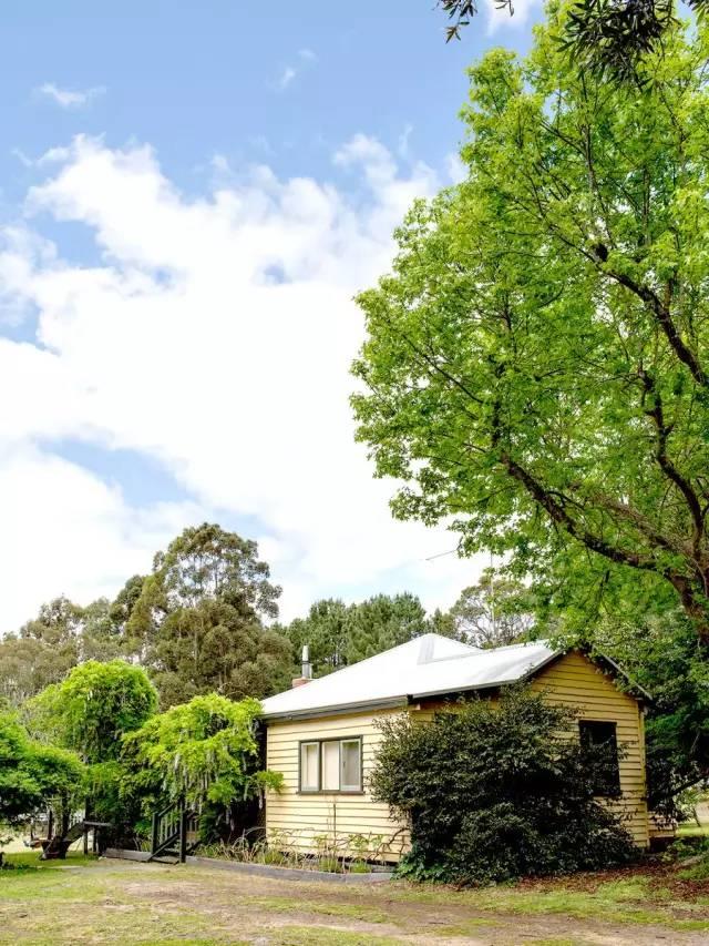 全家搬到方圆四十里没有人的荒野，到底图啥？