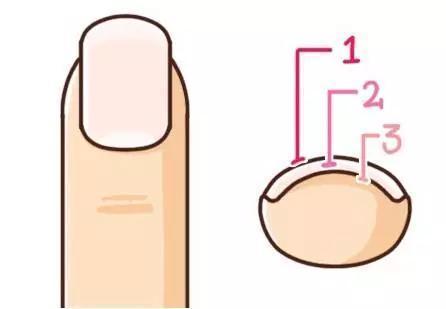 剪指甲时满天飞,居然是不正常的?!