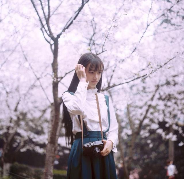 武大黄灿灿 文艺白裙看樱花