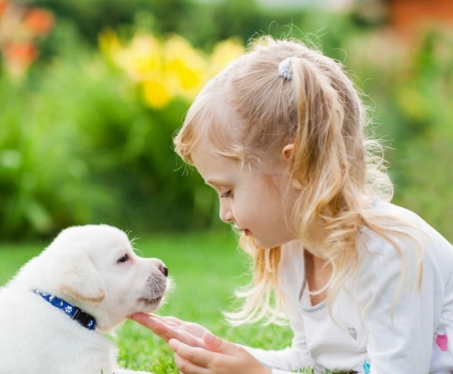 森碟,阿拉蕾双马尾萌翻众人 中安在线