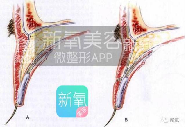 她被称为娱乐圈最难搞的女星 却也割出马思纯