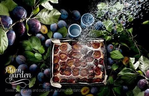 怎么拿相机玩一场“美食丛林历险记”？