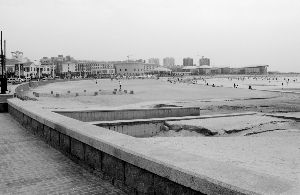 孰是孰非? *ST九发重组缘何扑朔迷离