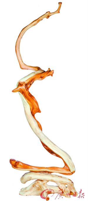 探秘收藏界新星崖柏:赏玩新宠植物活化石_收藏