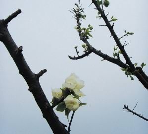 芜湖药品生产企业开展药检比武_产业经济