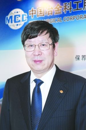 中国冶金科工股份有限公司副总裁、总会计师(
