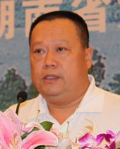 湖南艾华集团董事长