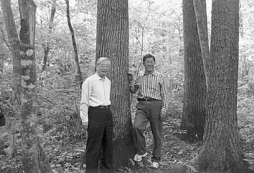 ��ǧǣ�����ֺ�