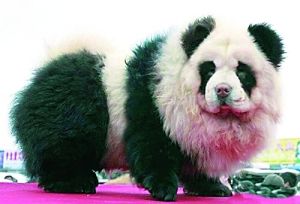 关于创业板造富神话的幕后推手的毕业论文开题报告范文