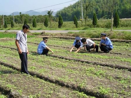 上虞人口碑_上虞华维文澜小学图片