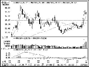 华峰氨纶(002064)_中国证券报